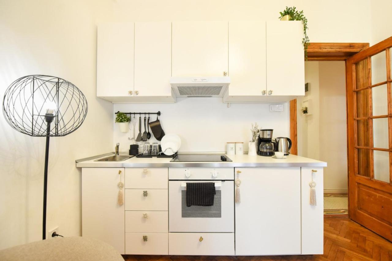 Vintage Elegance, Modern Comfort: 1Br Apartment Overlooking Calea Victoriei Βουκουρέστι Εξωτερικό φωτογραφία